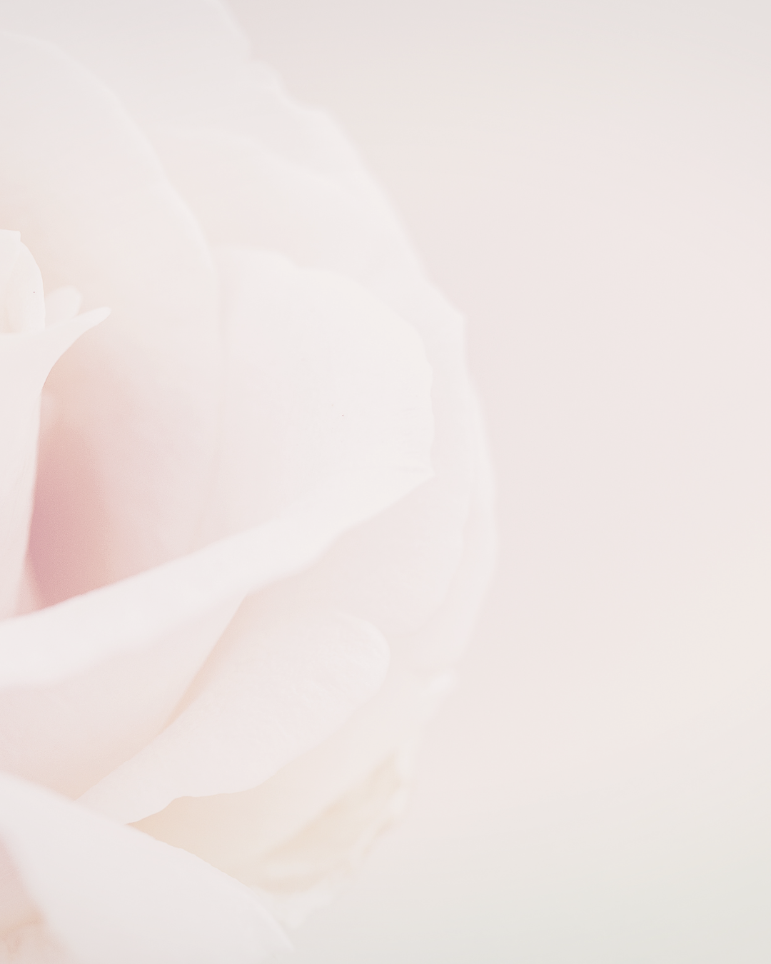 Soft floral and styled scene